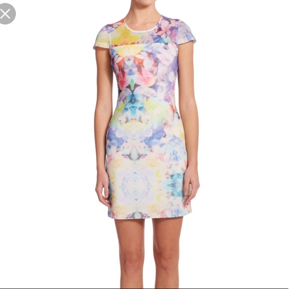 Parker Dress - Picture 2 of 6